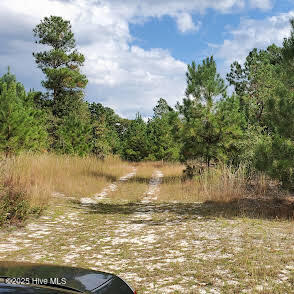 16369 Palmer Road Marston, NC 28363 - Photo 7 of 11 20211016_143645