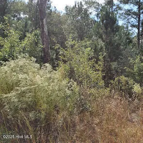 $300,000 | 16369 Palmer Road, Marston, NC 28363