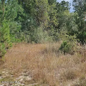 $300,000 | 16369 Palmer Road, Marston, NC 28363