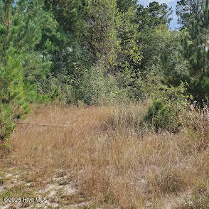 16369 Palmer Road Marston, NC 28363 - Photo 9 of 11 20211016_143650