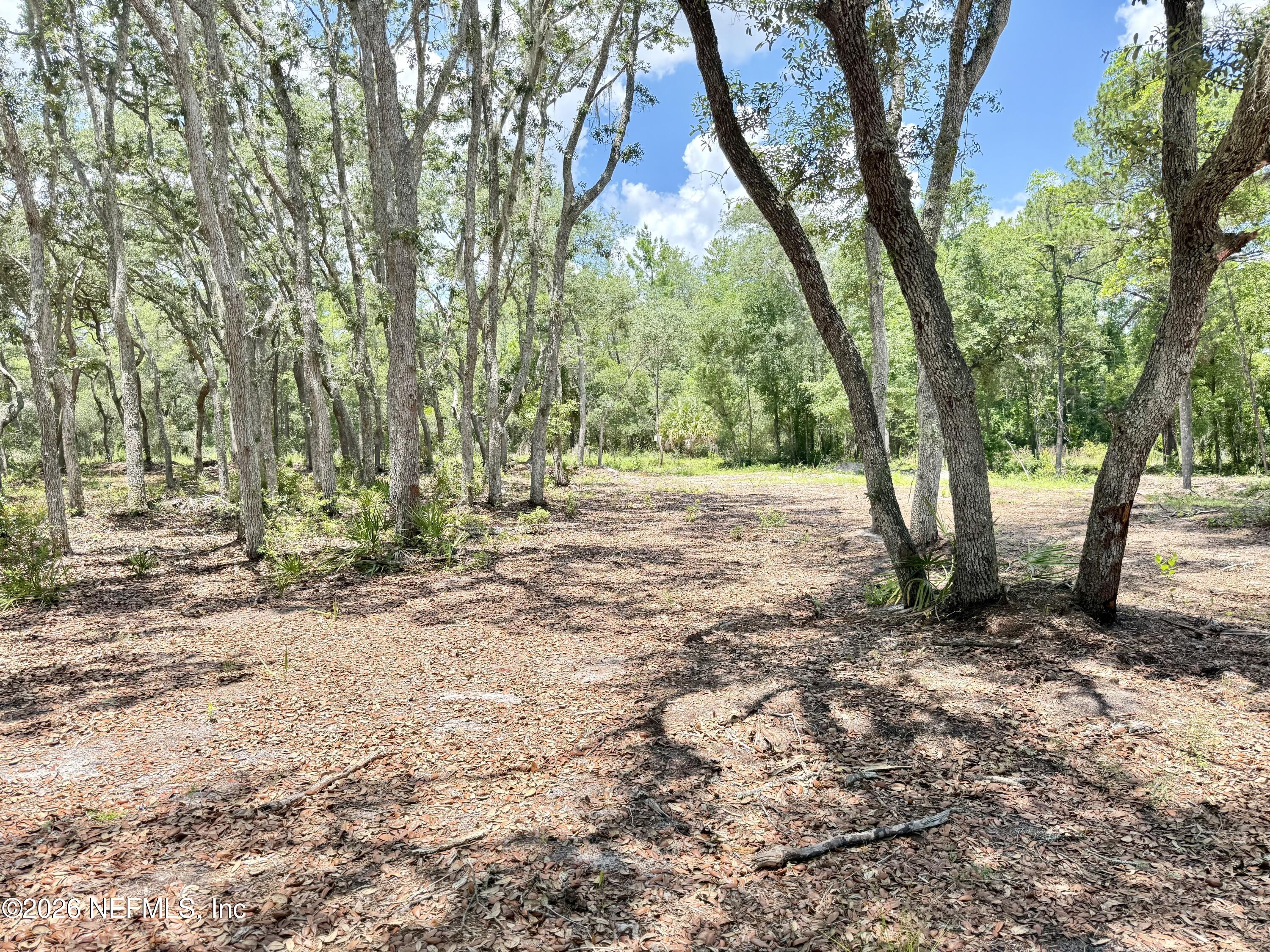 438 Chamberlain Road Satsuma, FL 32189 - Photo 12 of 21 IMG_2964