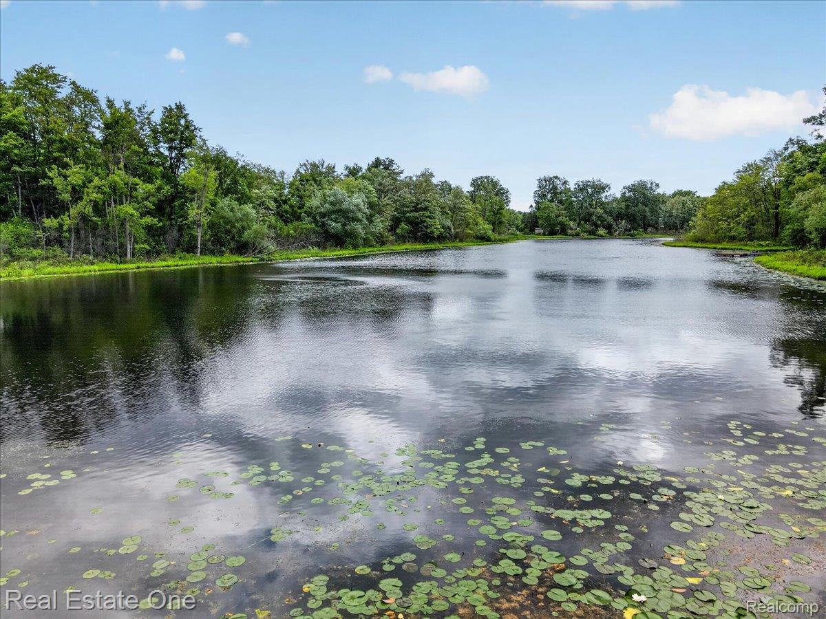 425 Courtney Road Leonard, MI 48367 - Photo 84 of 89 Expansive water feature bordered by dense, mature trees