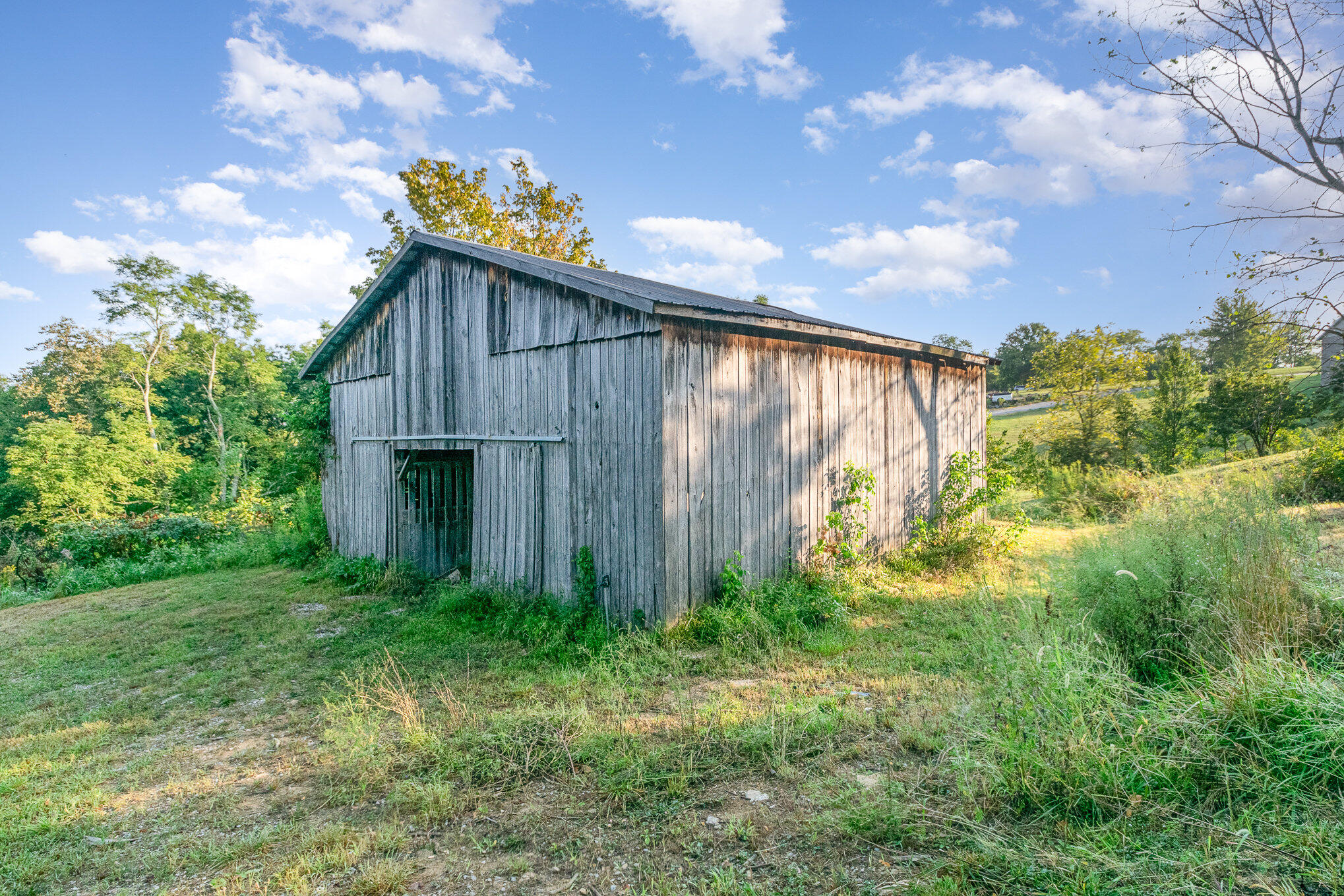 1590 Lemon Northcutt Road Dry Ridge, KY 41035 - Photo 24 of 30