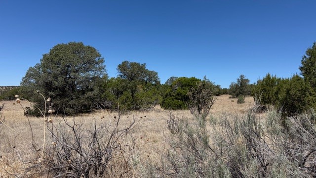B55 Ribera Nm 87565 Ribera, NM 87560 - Photo 27 of 27