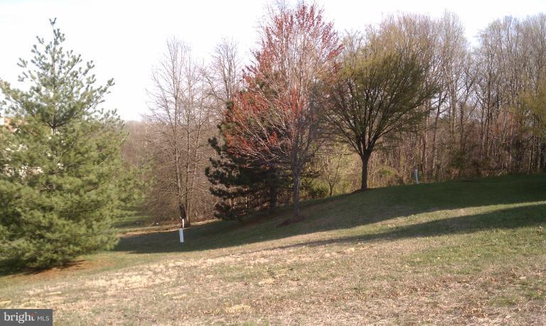 6101 Wigmore Lane, Unit C Alexandria, VA 22315 - Photo 2 of 27 View