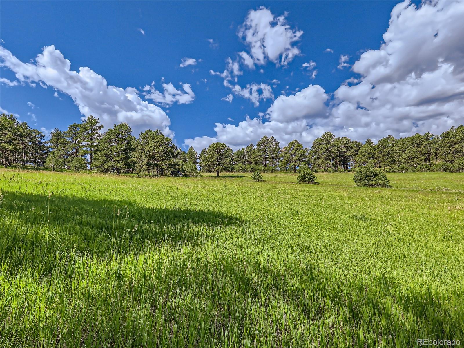 2117 Wieler Road Evergreen, CO 80439 - Photo 33 of 40 Gallery Image 33