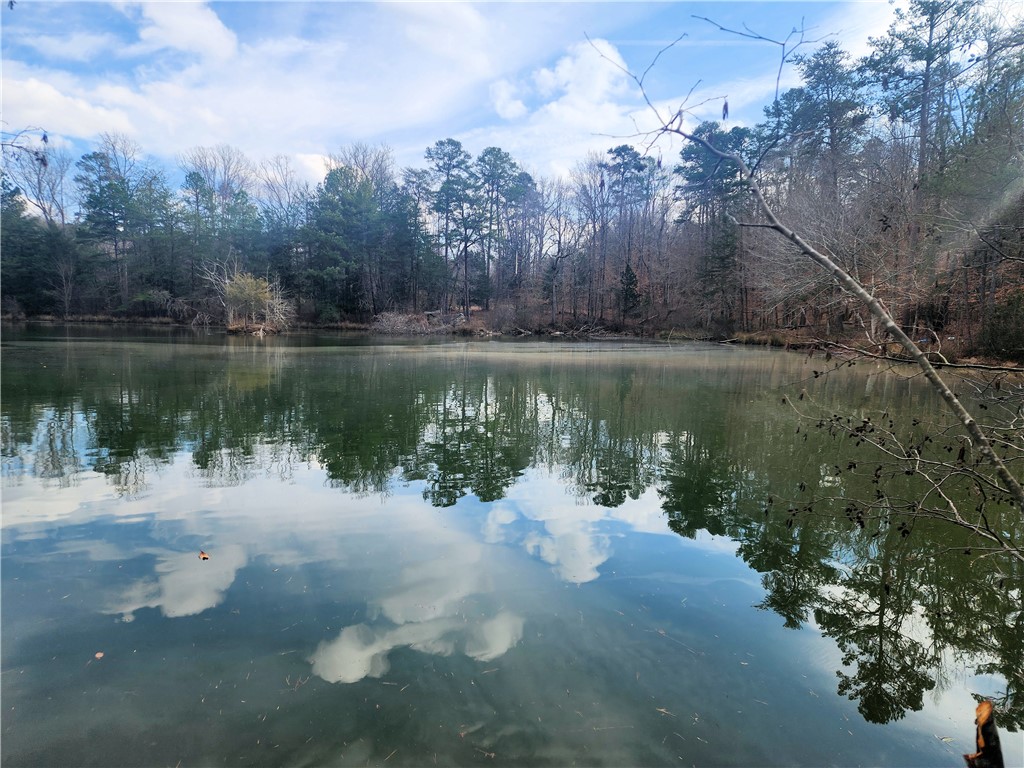 3068 State Rd S-30-40 Gray Court, SC 29645 - Photo 10 of 32
