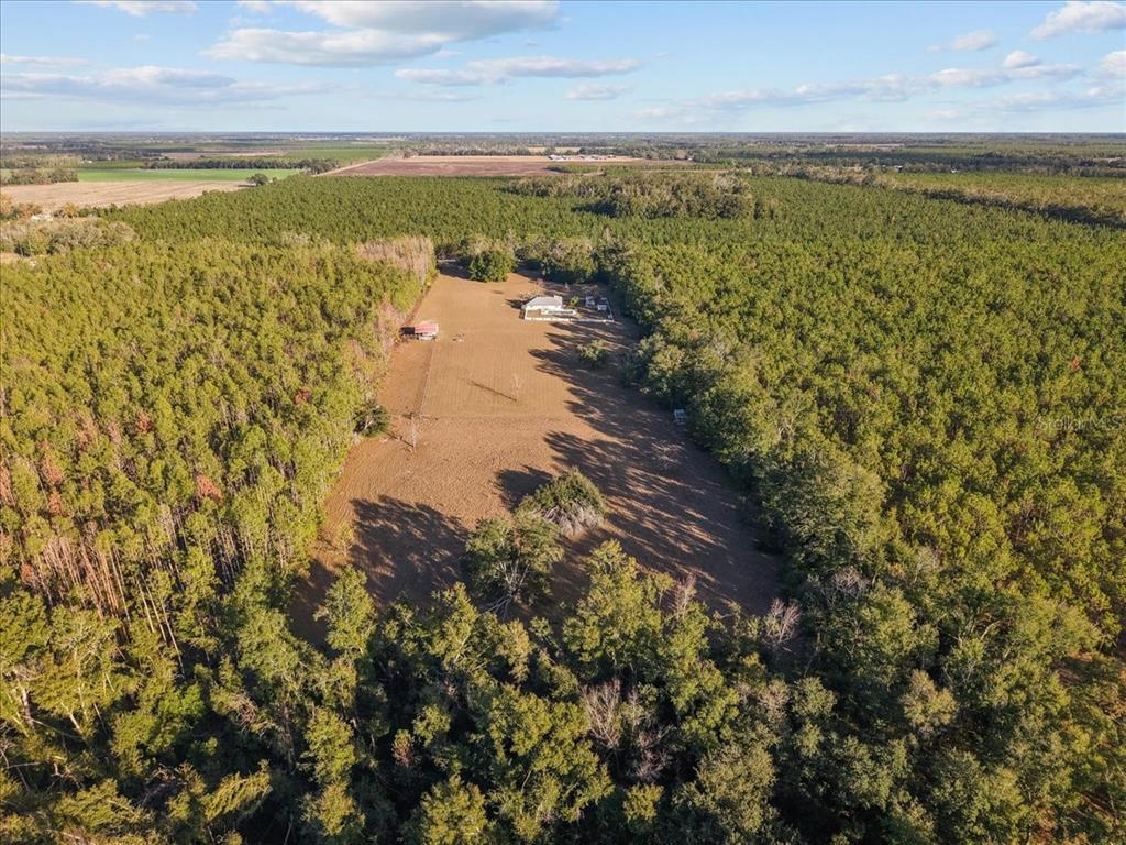 13691 201st Road Live Oak, FL 32060 - Photo 32 of 36