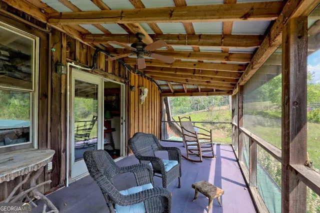 a view of a yard with plants and large trees