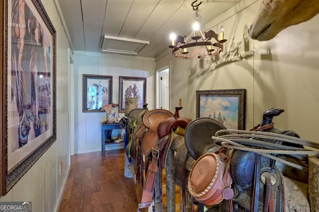 a view of a field with large trees