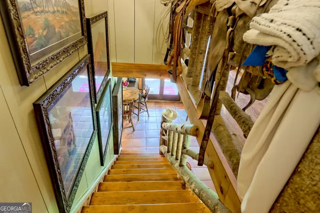 a view of a dry yard with trees