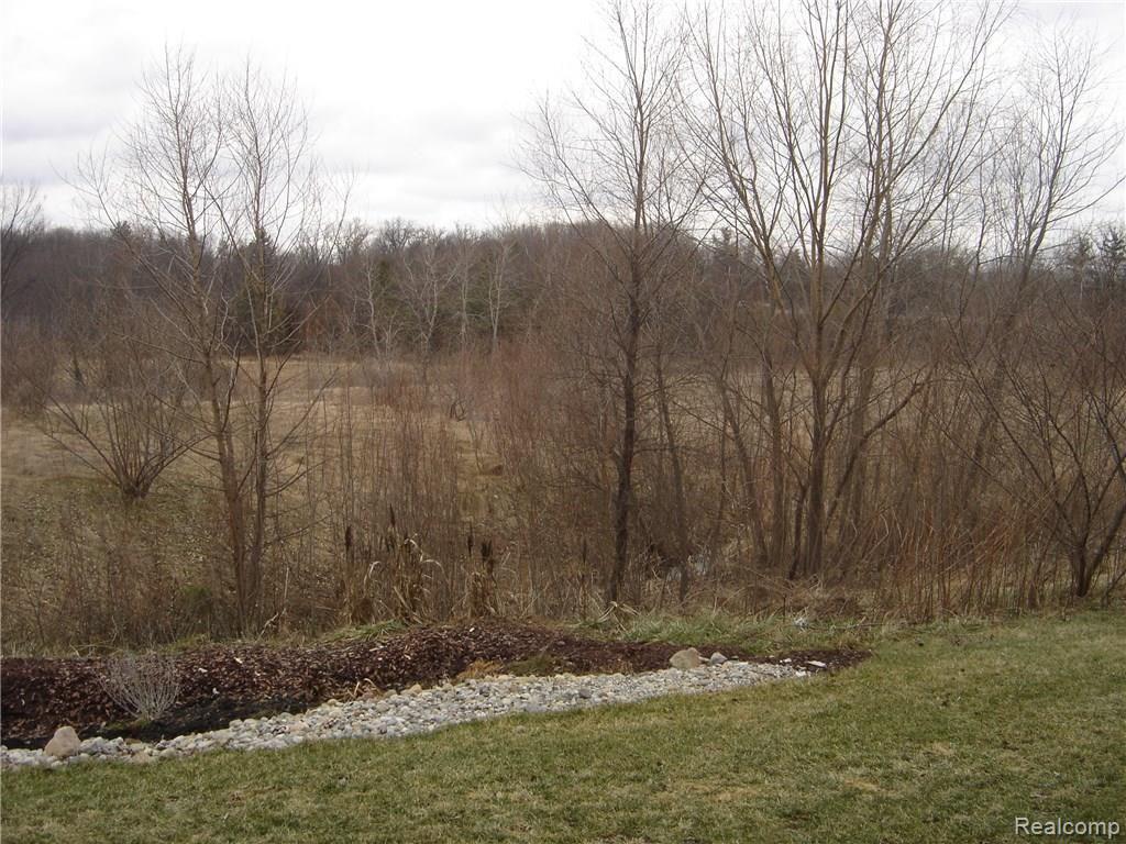 10105 Ridge Run Street, Unit 14 Howell, MI 48855 - Photo 5 of 16 2016-02-08 15.01