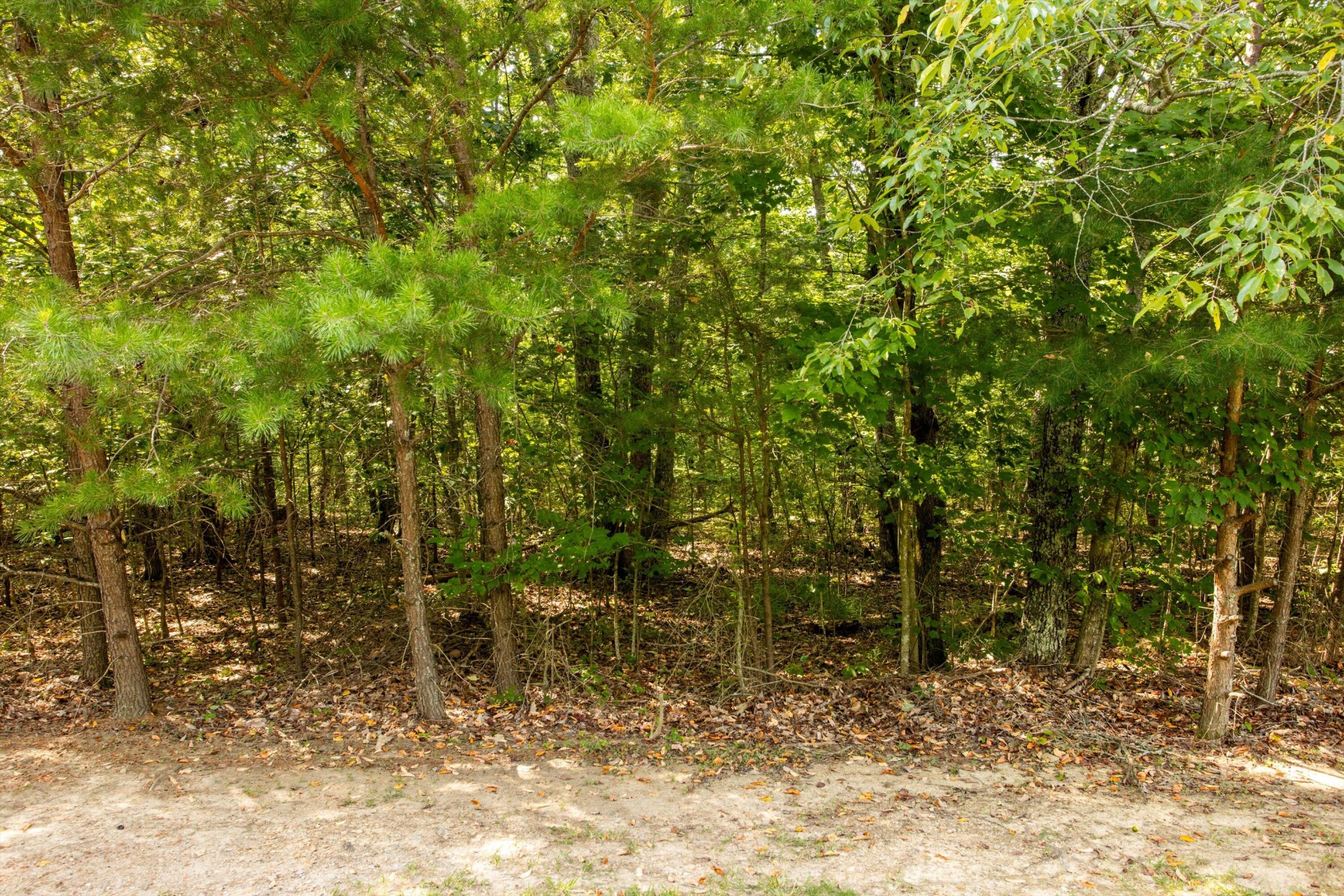 5 Stewart Lane Rising Fawn, GA 30738 - Photo 17 of 17 Gallery Image 17