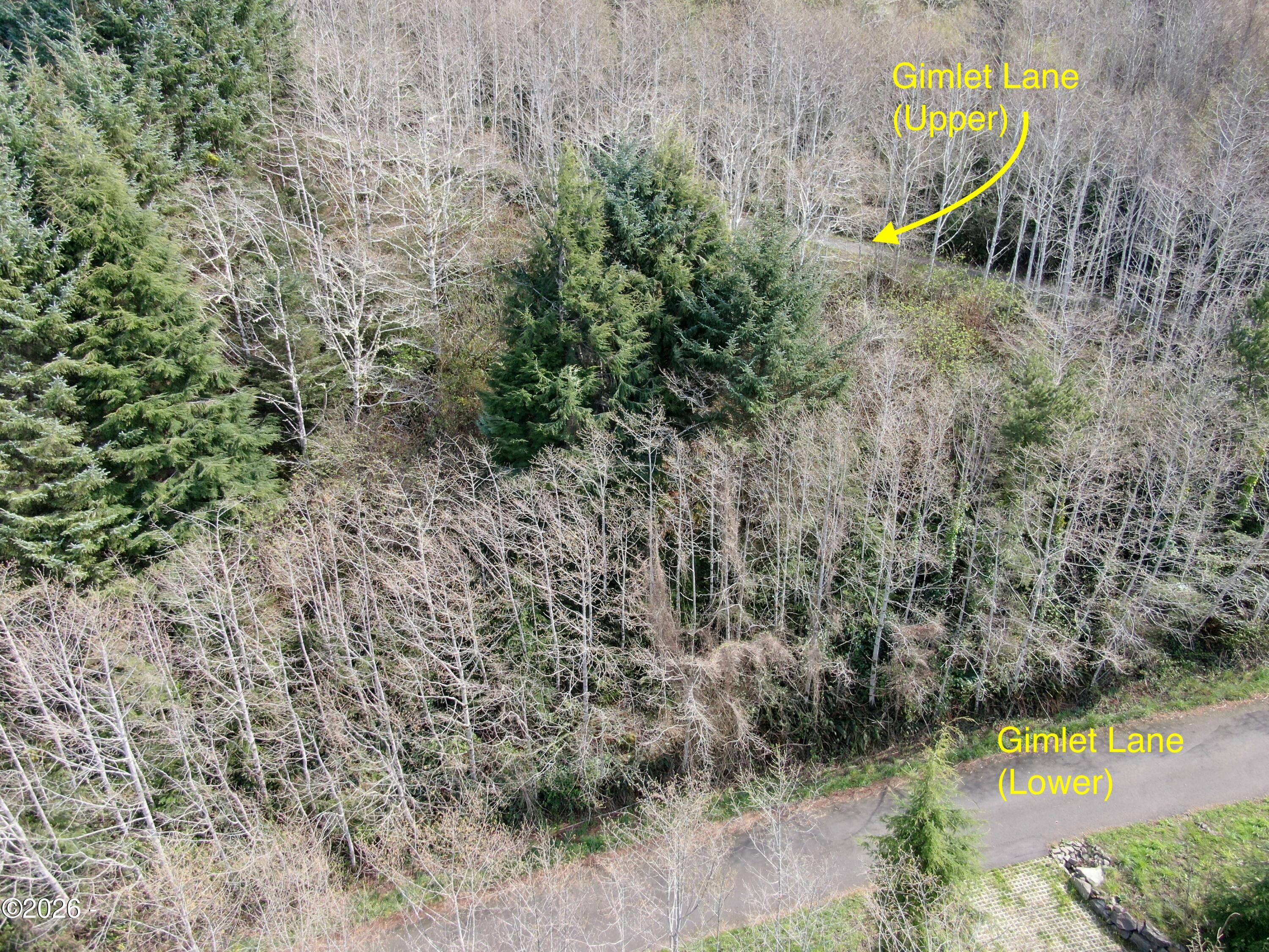 17 Gimlet Lane Yachats, OR 97498 - Photo 16 of 17 DJI_0305x