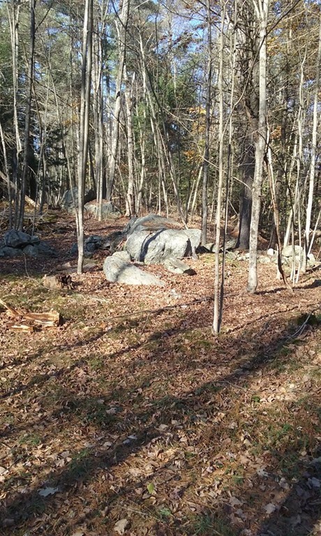 Lot 3 Cave Hill Road Leverett, MA 01054 - Photo 2 of 10 Gallery Image 2