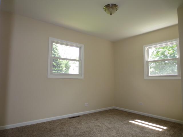 404 Alpine Drive Round Lake, IL 60073 - Photo 12 of 20