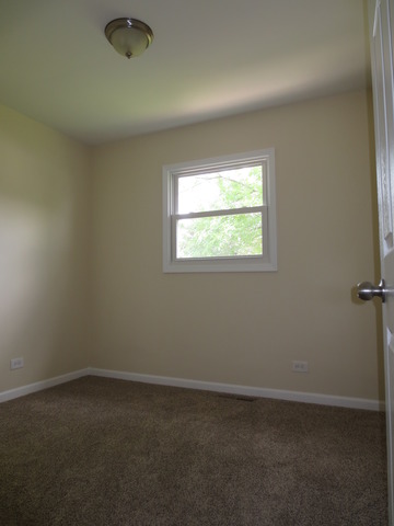 404 Alpine Drive Round Lake, IL 60073 - Photo 13 of 20