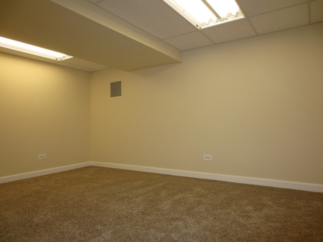 404 Alpine Drive Round Lake, IL 60073 - Photo 17 of 20