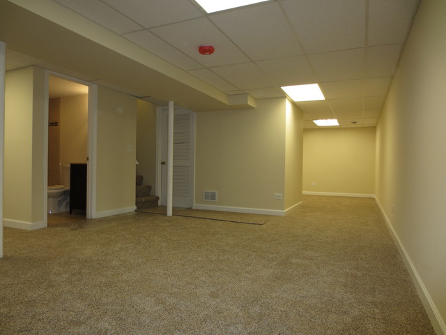404 Alpine Drive Round Lake, IL 60073 - Photo 18 of 20
