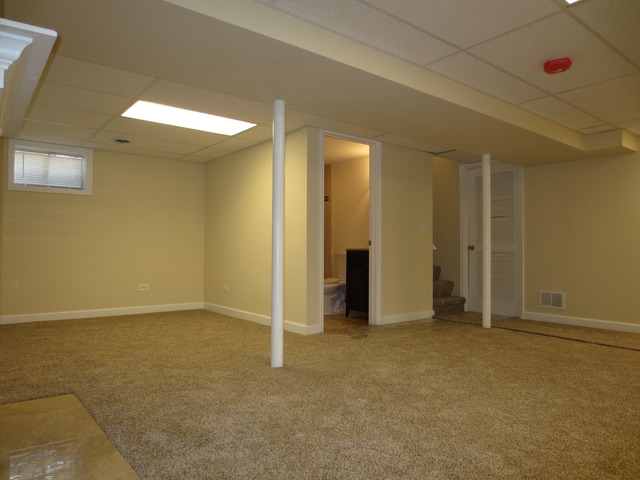 404 Alpine Drive Round Lake, IL 60073 - Photo 19 of 20