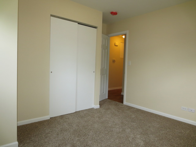 404 Alpine Drive Round Lake, IL 60073 - Photo 8 of 20
