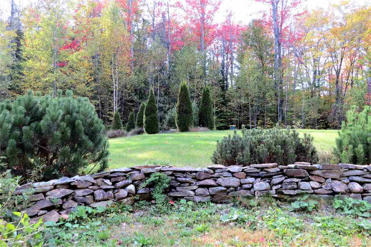245 Teer Road Mount Holly, VT 05730 - Photo 8 of 26