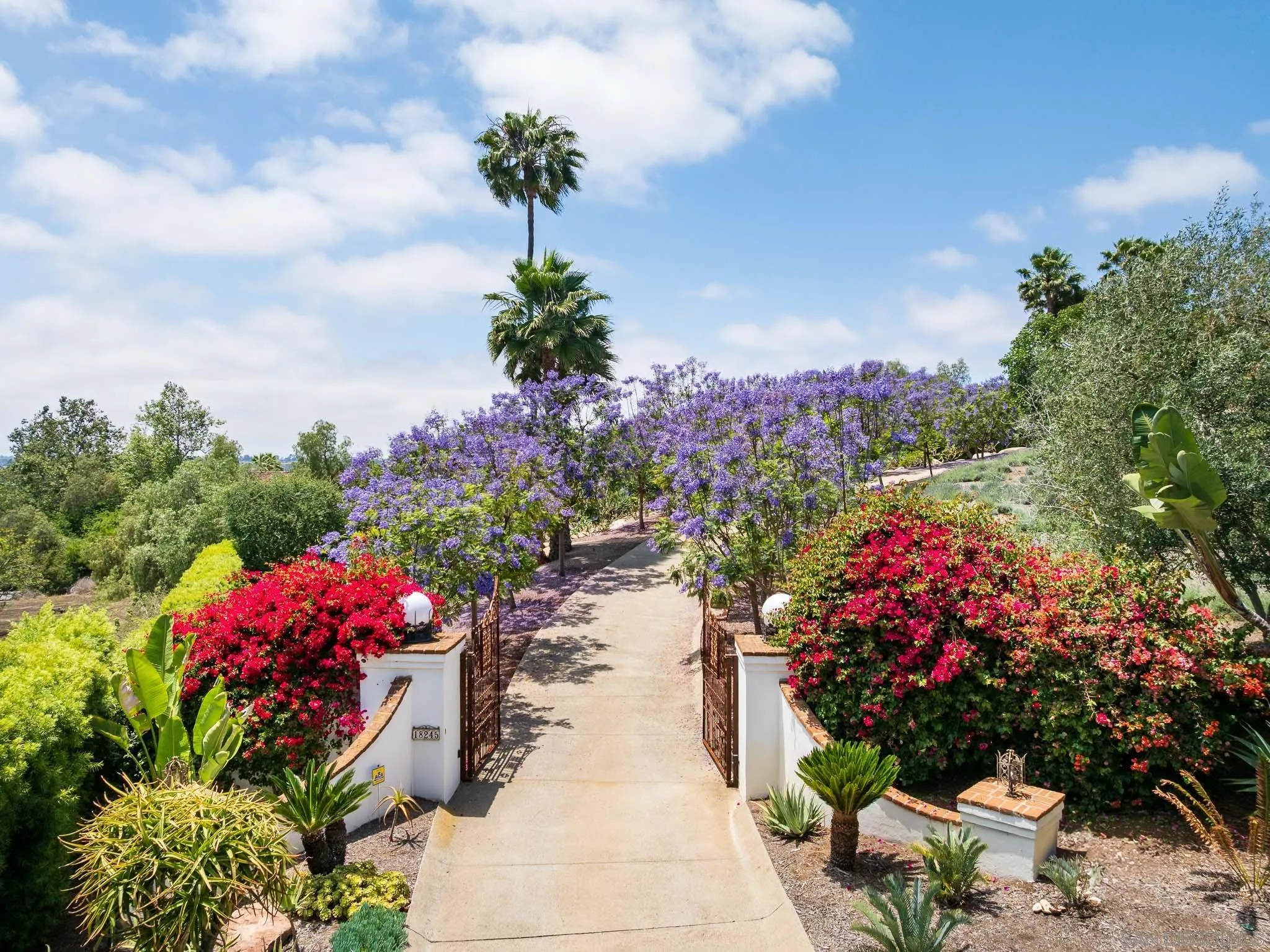 18245 Paseo Victoria Rancho Santa Fe, CA 92067 - Photo 6 of 40 a picture of flowers