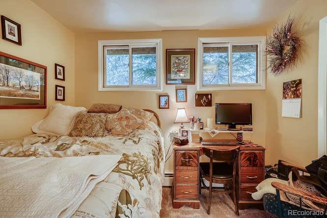 2970 Apex Valley Road Idaho Springs, CO 80452 - Photo 11 of 27 Gallery Image 11