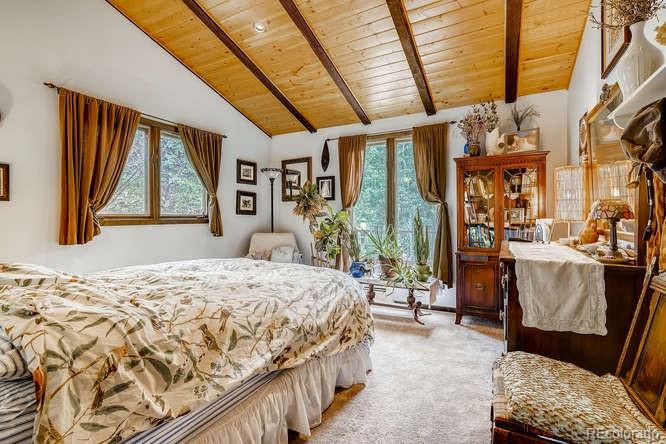 2970 Apex Valley Road Idaho Springs, CO 80452 - Photo 15 of 27 Gallery Image 15