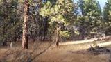0 South Packsaddle Circle South Beatty, OR 97621 - Photo 10 of 22 Additional Photo