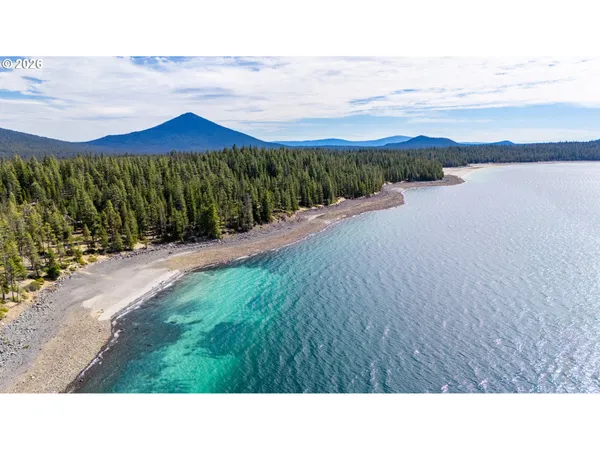 a black and white photo of a big yard