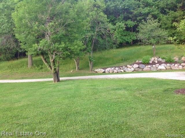 4228 Hough Road Dryden, MI 48428 - Photo 17 of 24 17 Driveway.jpg