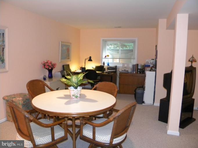 116 Spring Pl Way Annapolis, MD 21401 - Photo 4 of 20 Basement