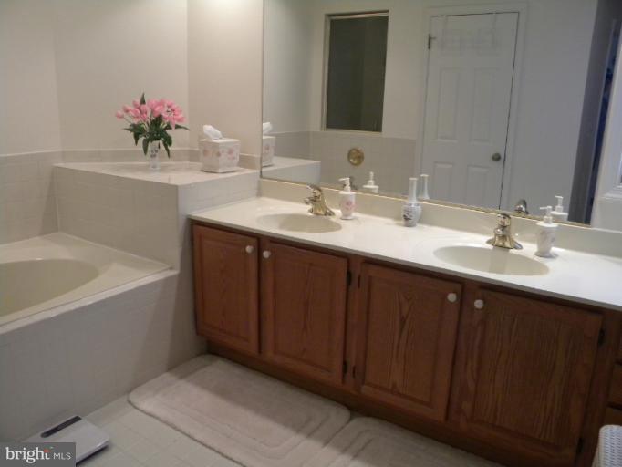 116 Spring Pl Way Annapolis, MD 21401 - Photo 10 of 20 Bath (Master)