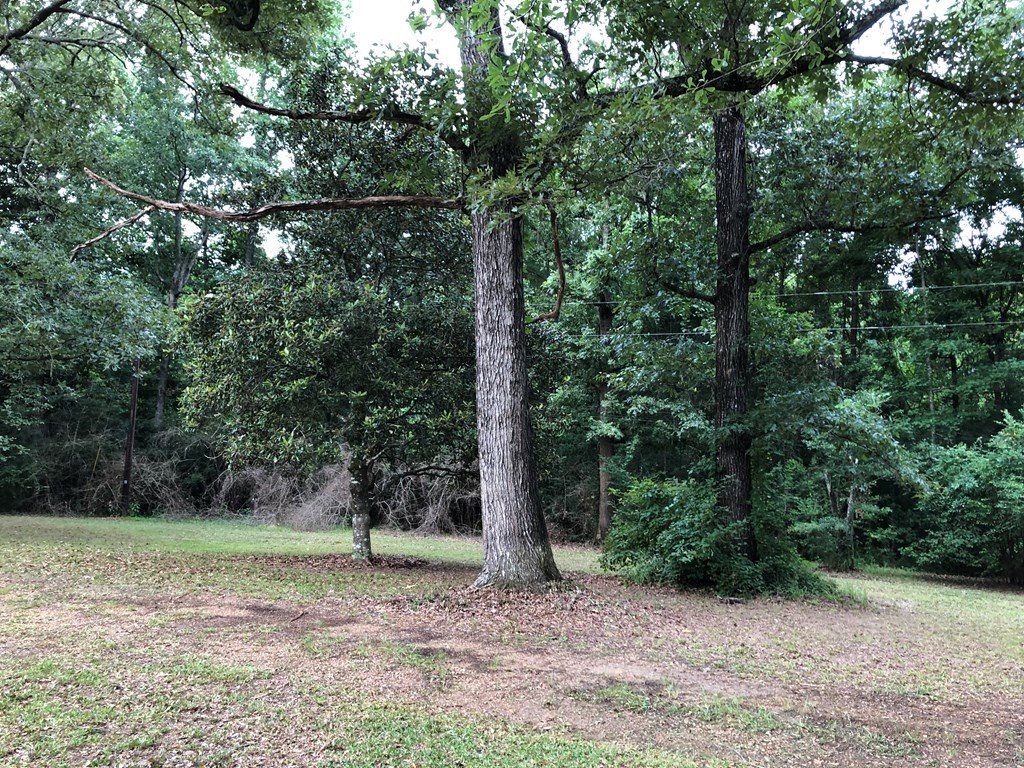 1910 Brumfield Road Southwest Summit, MS 39666 - Photo 18 of 29 Photo 18