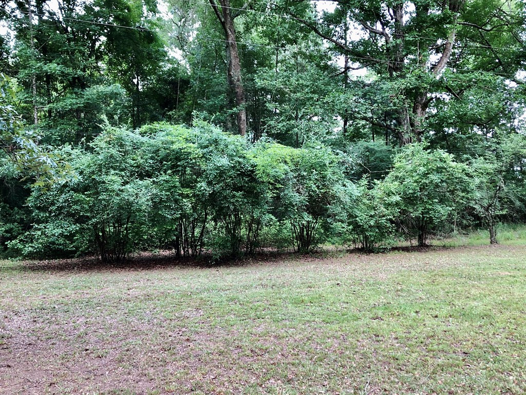1910 Brumfield Road Southwest Summit, MS 39666 - Photo 25 of 29 Photo 25