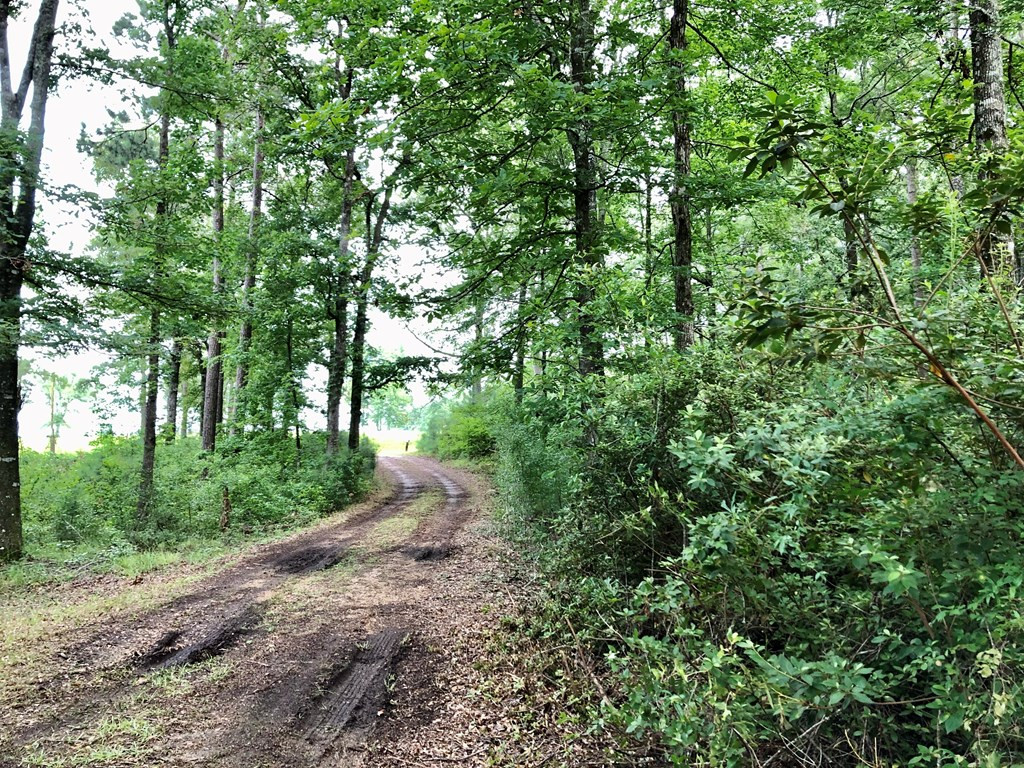 1910 Brumfield Road Southwest Summit, MS 39666 - Photo 27 of 29 Photo 27