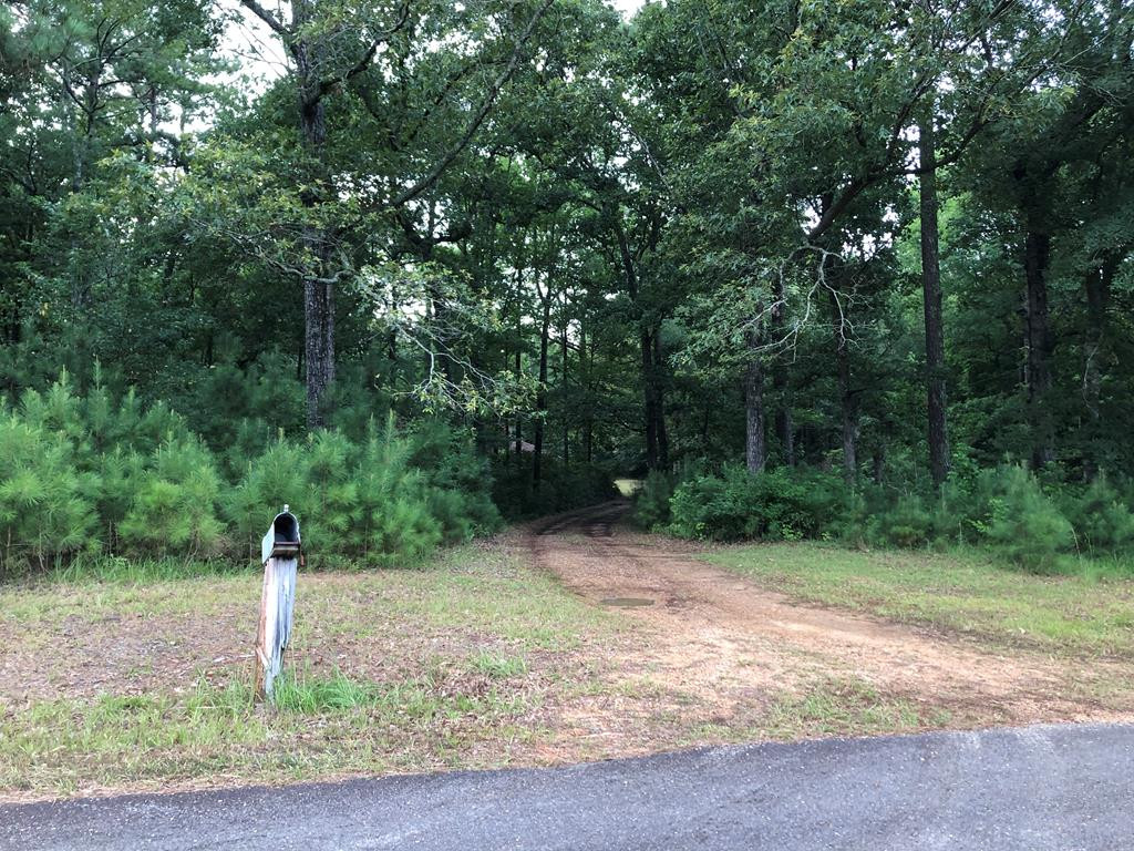 1910 Brumfield Road Southwest Summit, MS 39666 - Photo 29 of 29 Photo 29