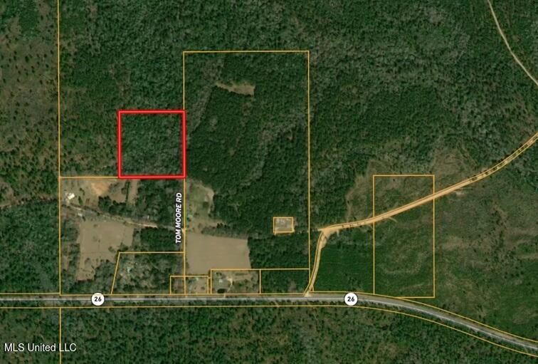 0 Tom Moore Road Wiggins, MS 39577 - Photo 2 of 2 pic1-MLS