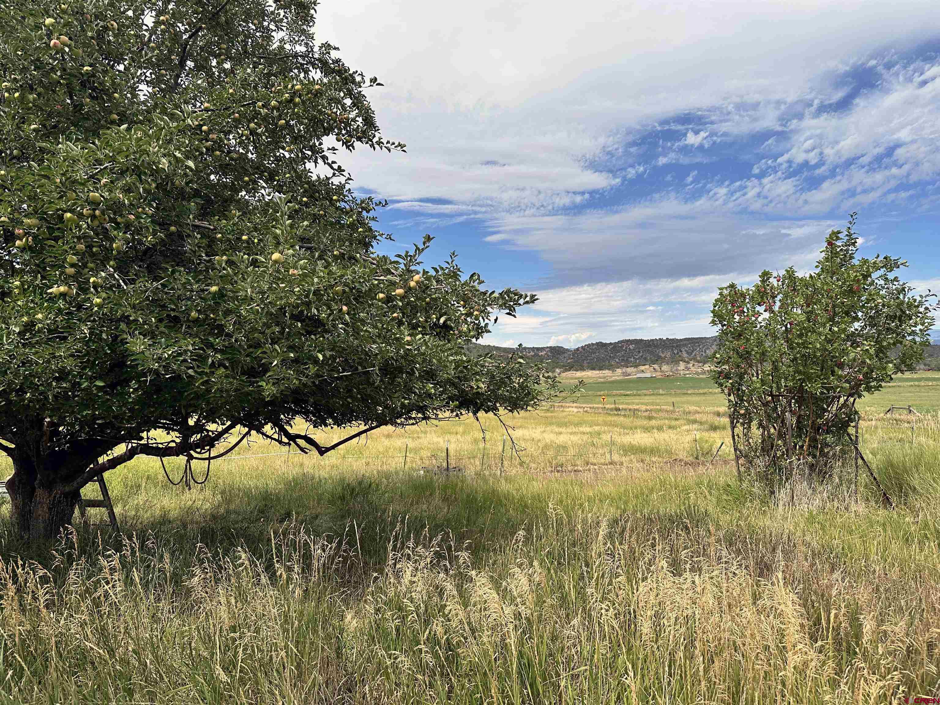 42638 Zeldenthuis Road Crawford, CO 81415 - Photo 19 of 26