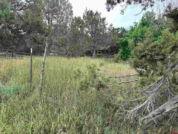 a view of a lake with outdoor space