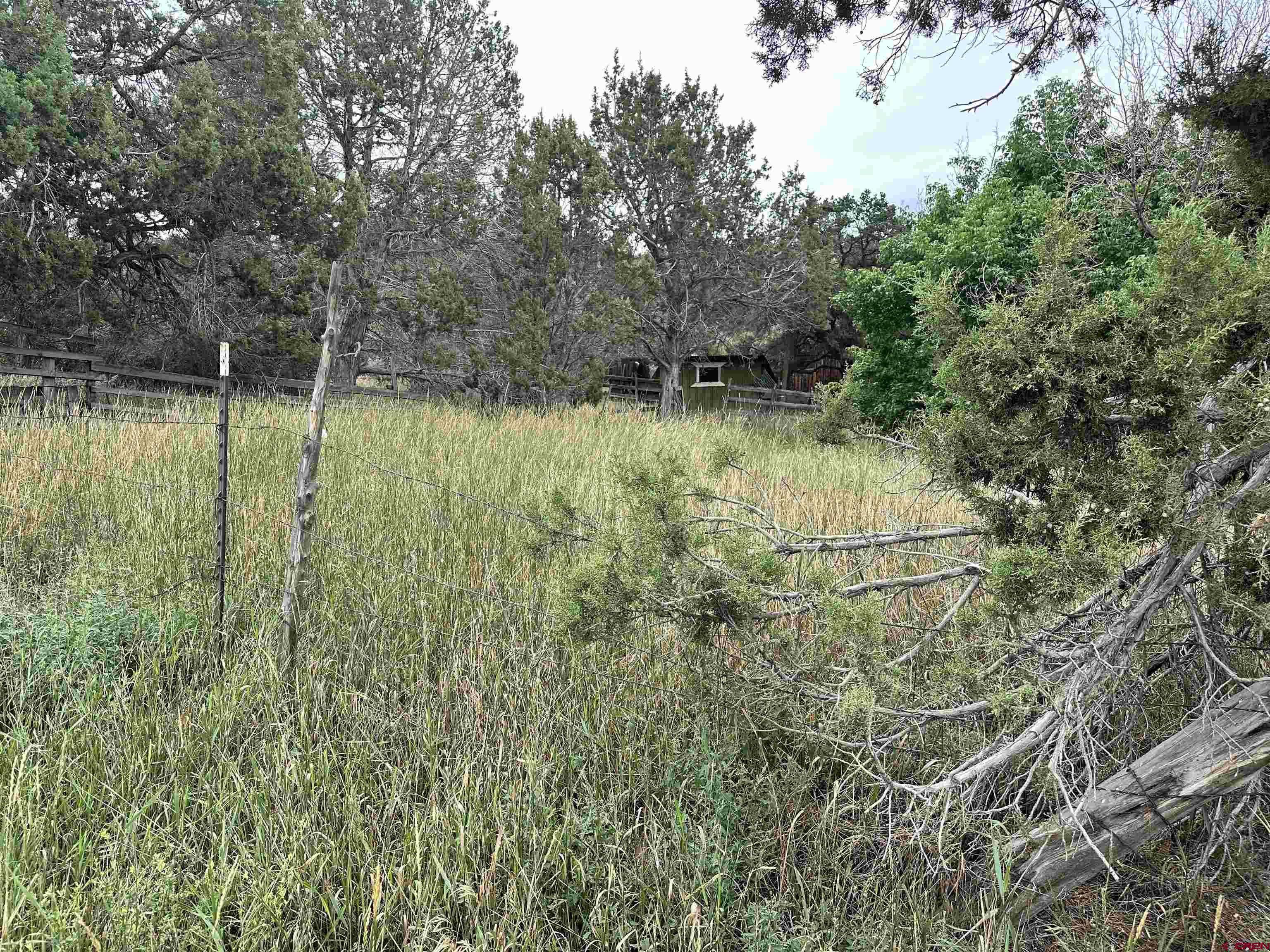 42638 Zeldenthuis Road Crawford, CO 81415 - Photo 26 of 26