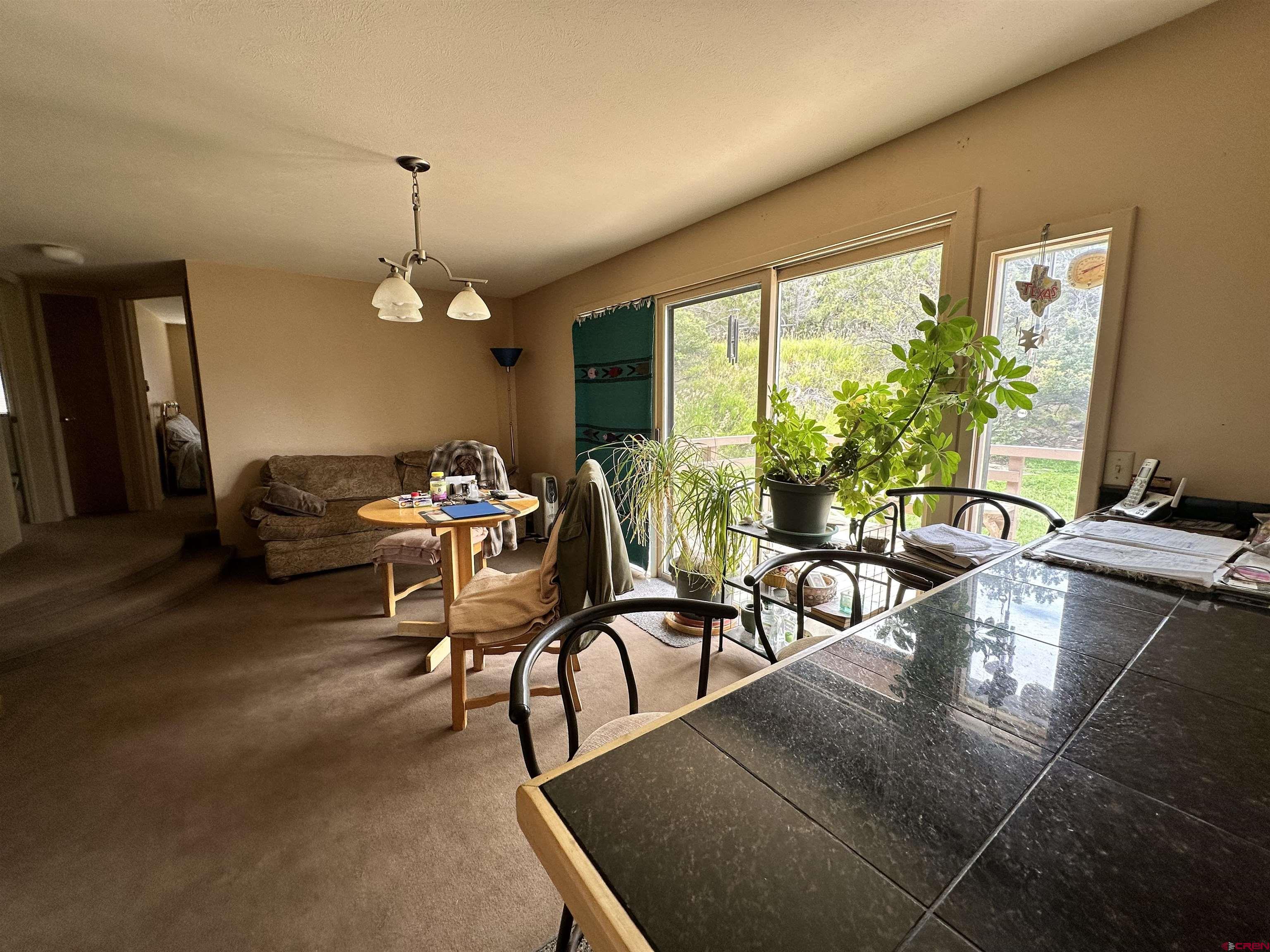 42638 Zeldenthuis Road Crawford, CO 81415 - Photo 6 of 26