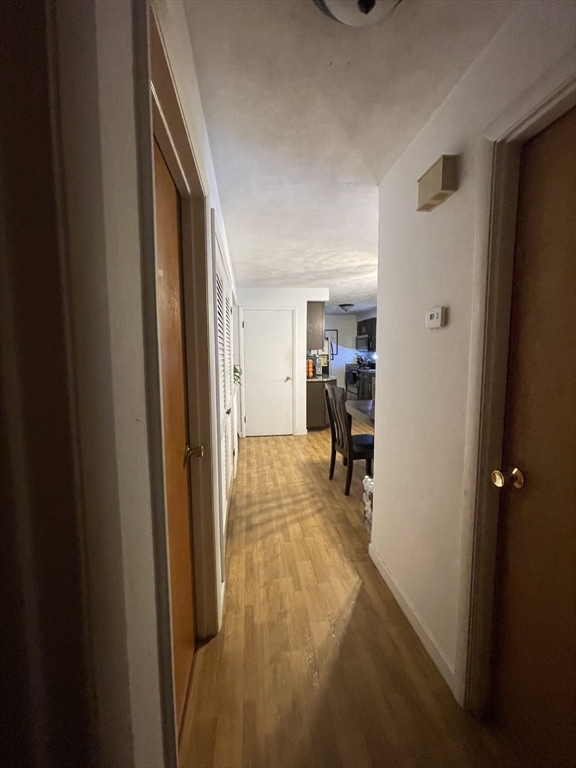 19 Oneida Avenue Worcester, MA 01606 - Photo 19 of 34 Gallery Image 19