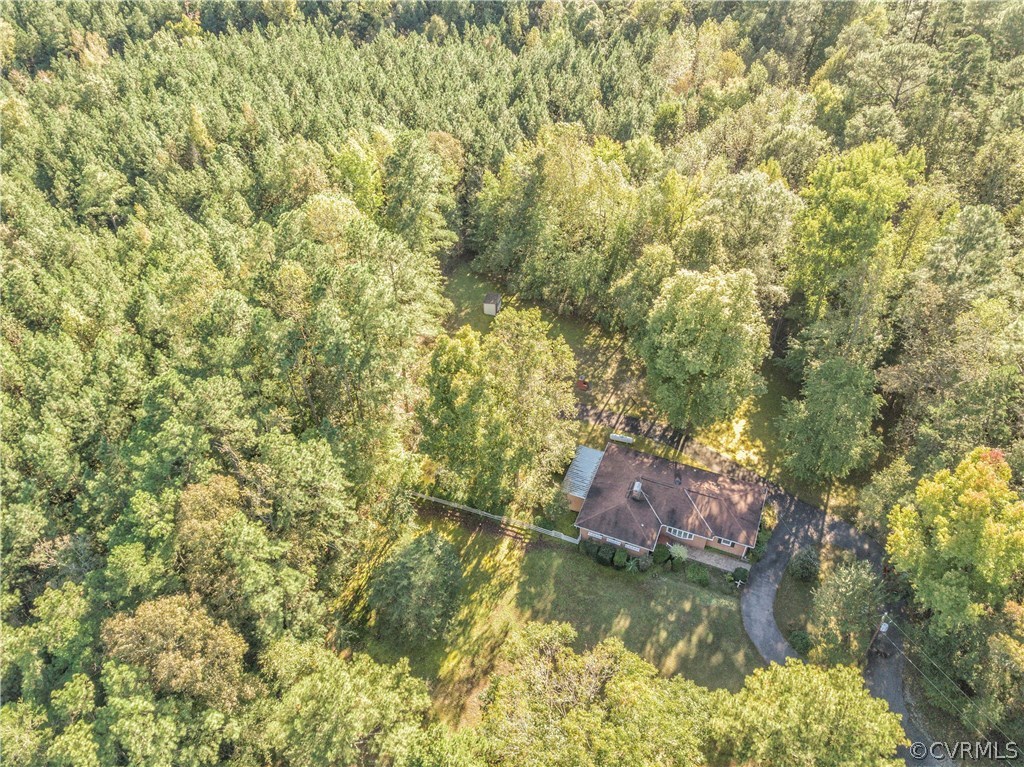 21901 Sappony Road Moseley, VA 23120 - Photo 13 of 43