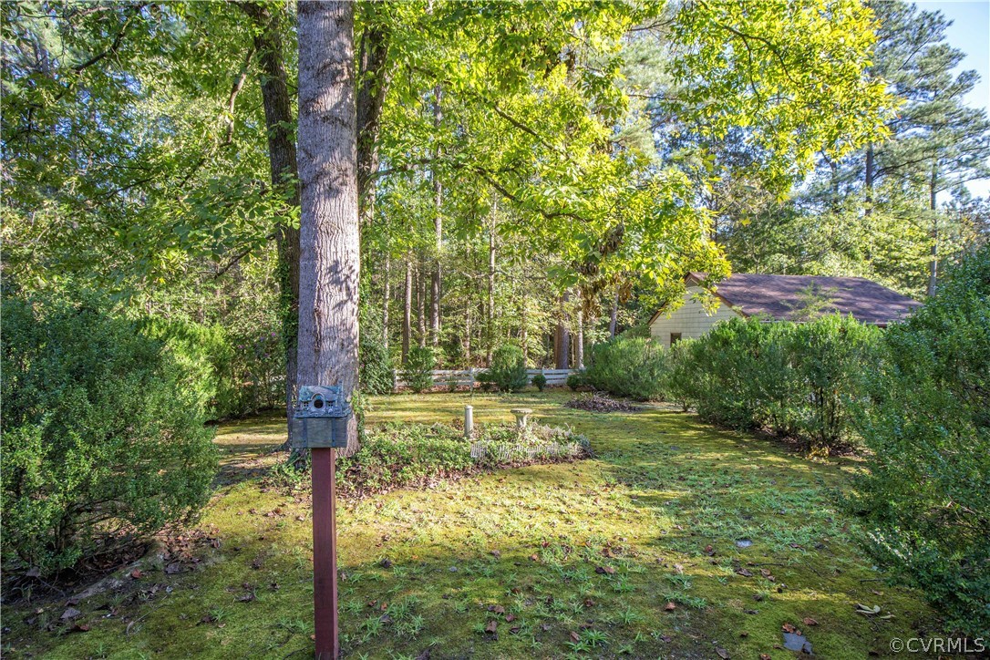 21901 Sappony Road Moseley, VA 23120 - Photo 26 of 43