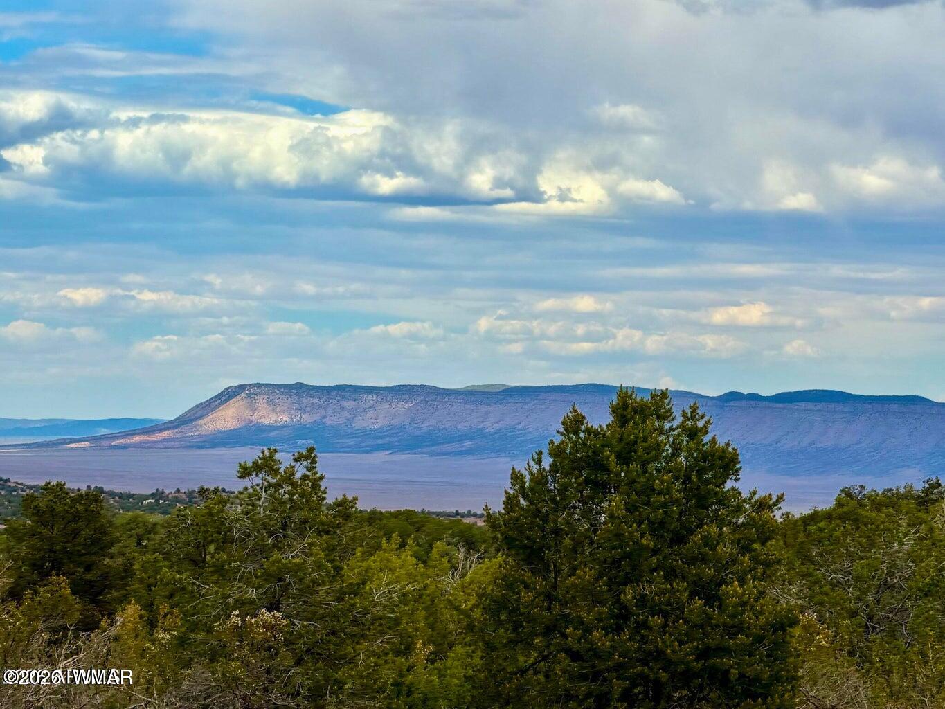 34962 West Hidalgo Road Seligman, AZ 86337 - Photo 7 of 28