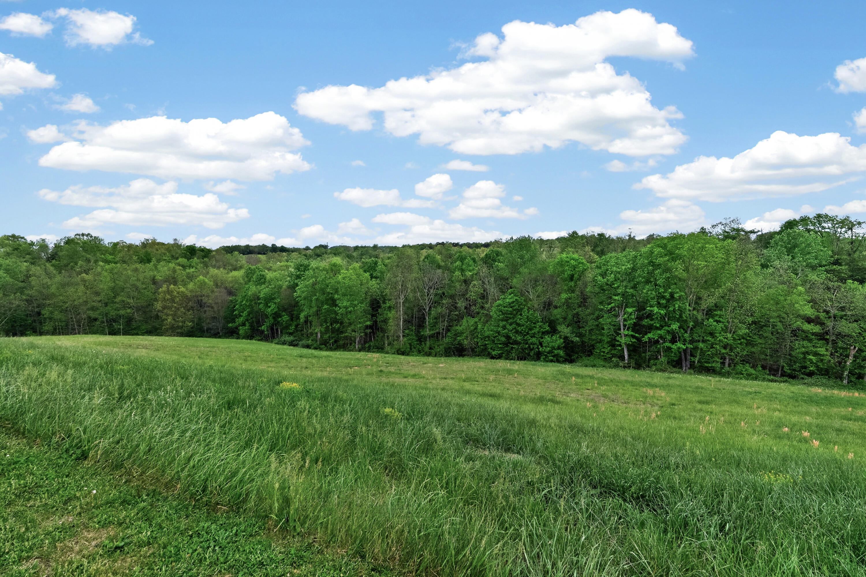 3305 Owenton Road Corinth, KY 41010 - Photo 36 of 43