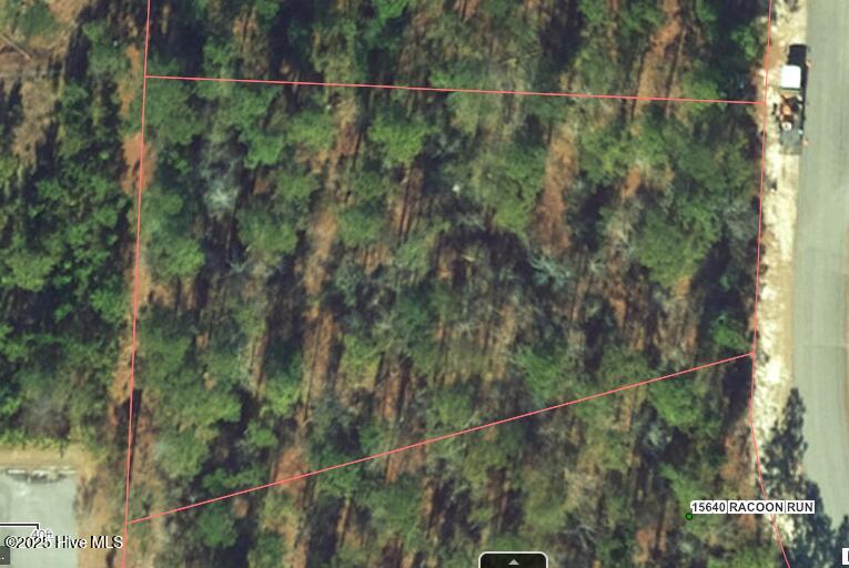 28 Raccoon Run Road Wagram, NC 28396 - Photo 1 of 1 GIS