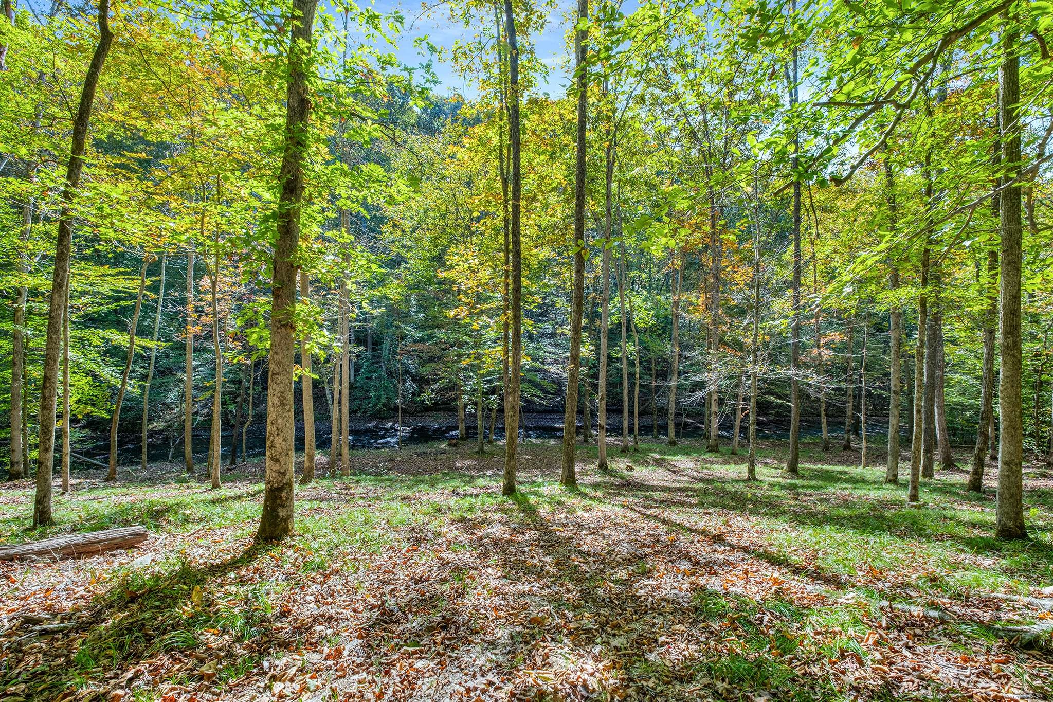 7909 Shoals Branch Road Primm Springs, TN 38476 - Photo 74 of 88 Gallery Image 74